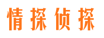 陕县市侦探公司